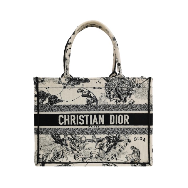 Dior Book Tote