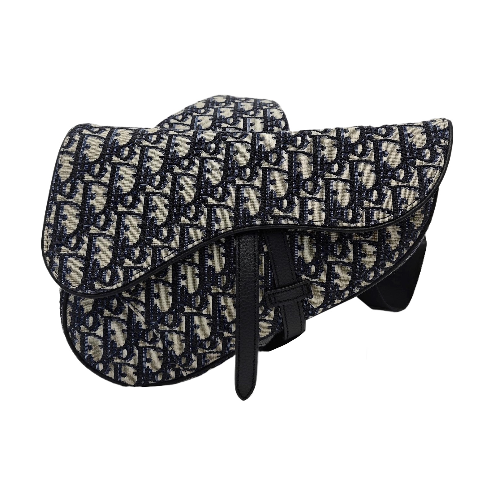 Dior Saddle, photograph 1