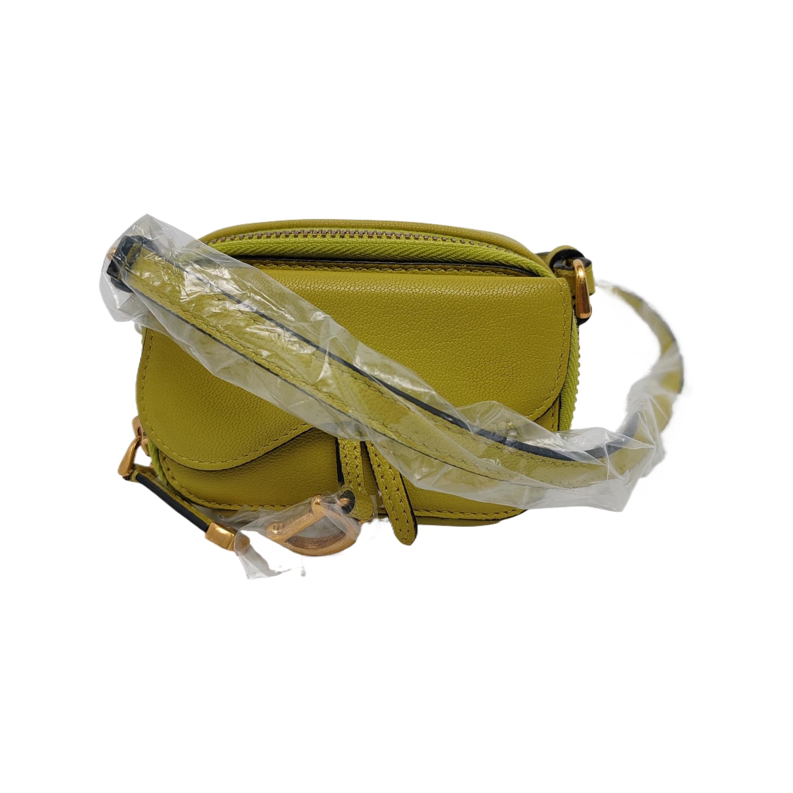 Dior Saddle, photograph 1