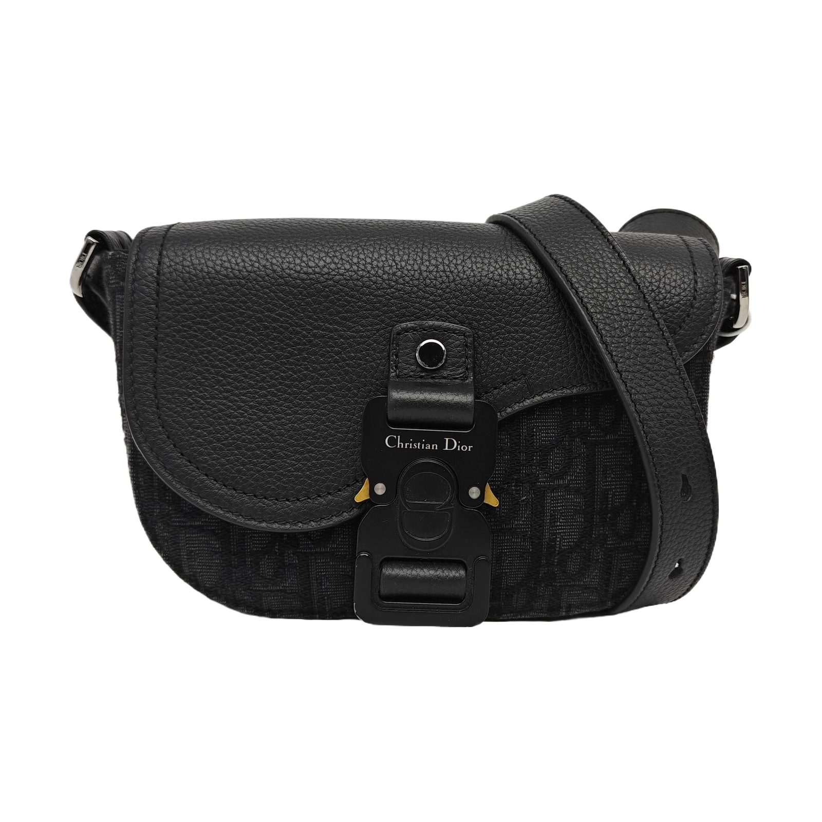 Dior Saddle, photograph 1
