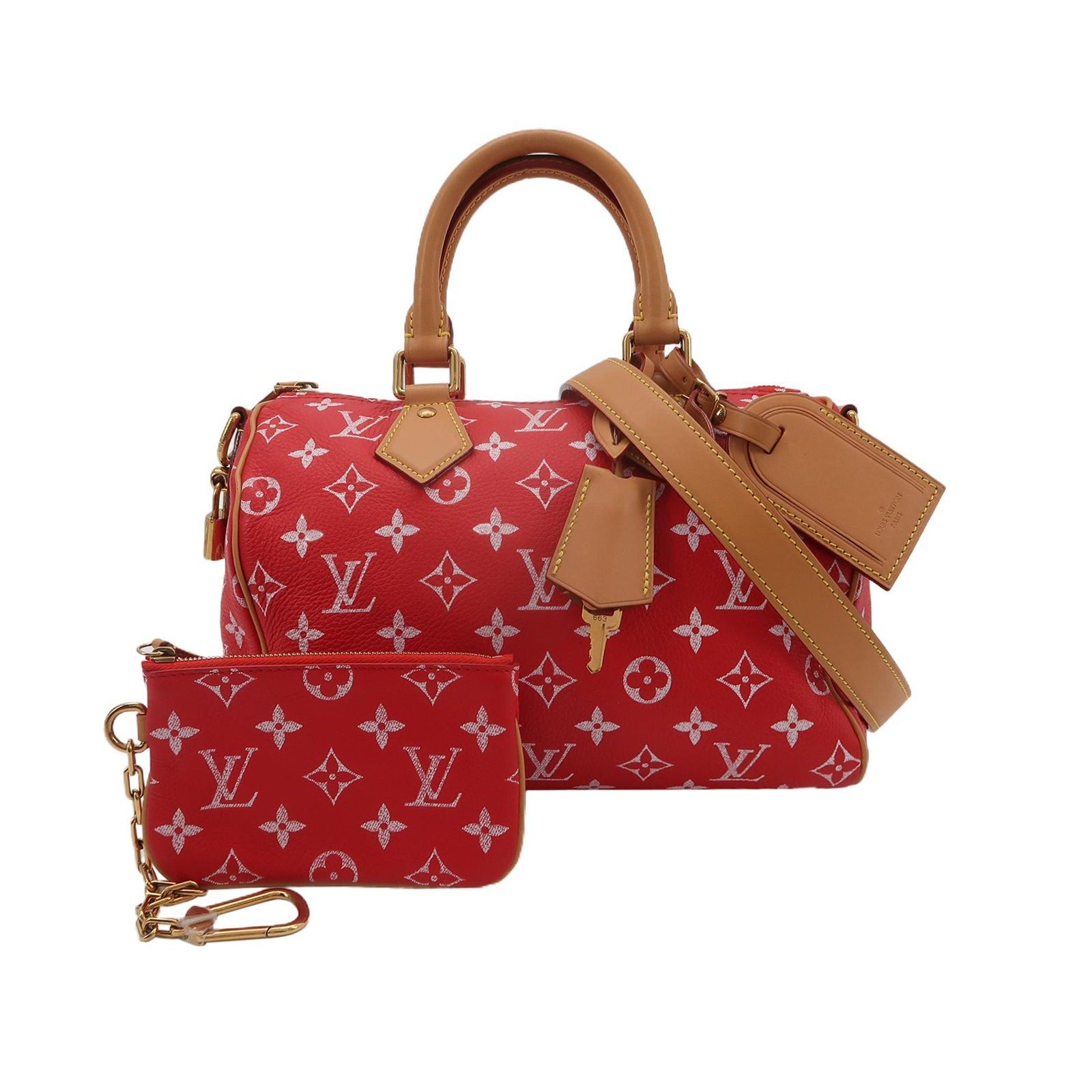 Louis Vuitton Speedy 25 Shoulder Bag, 26 cm, Leather, Vegetable-tanned, Leather, Vegetable-tanned leather, photograph 1